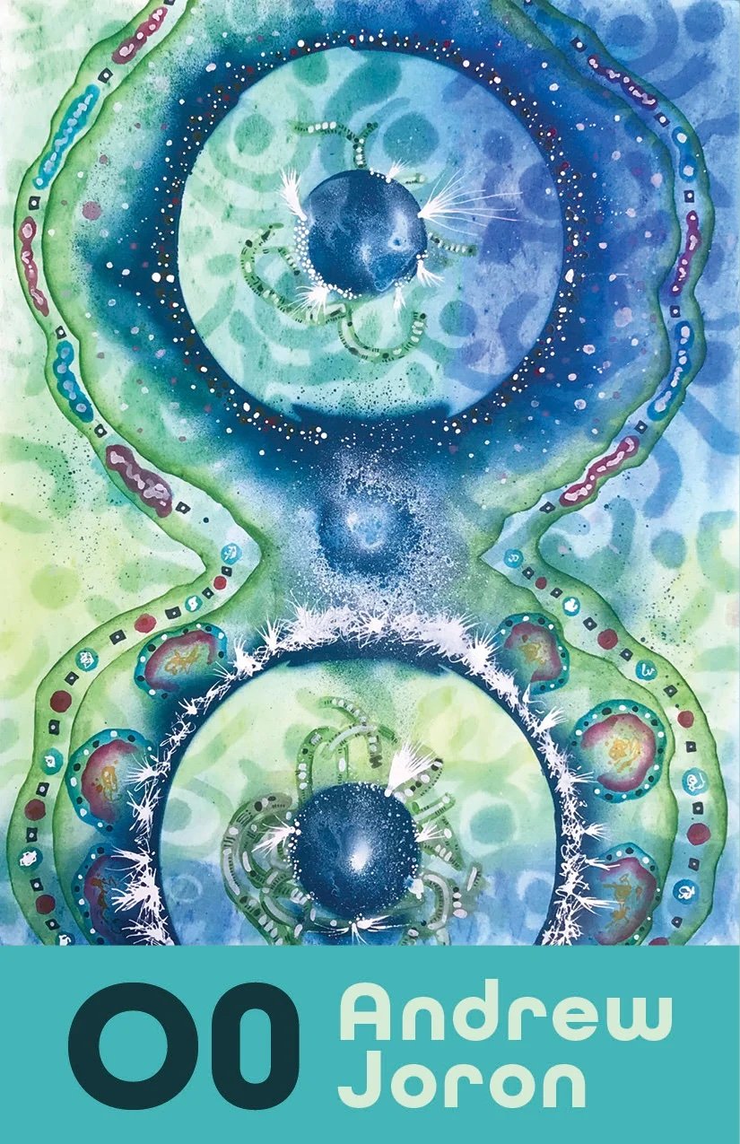 O0 by Andrew Joron
