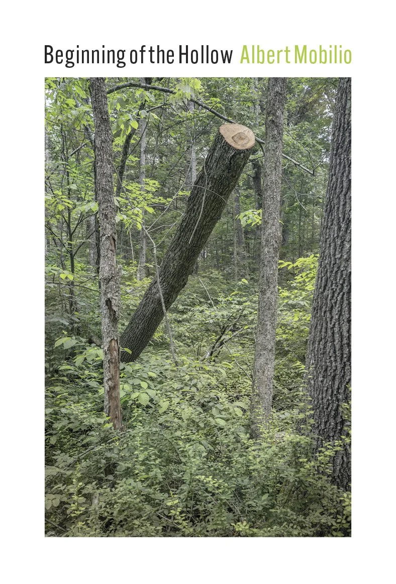 Beginning of the Hollow by Albert Mobilio