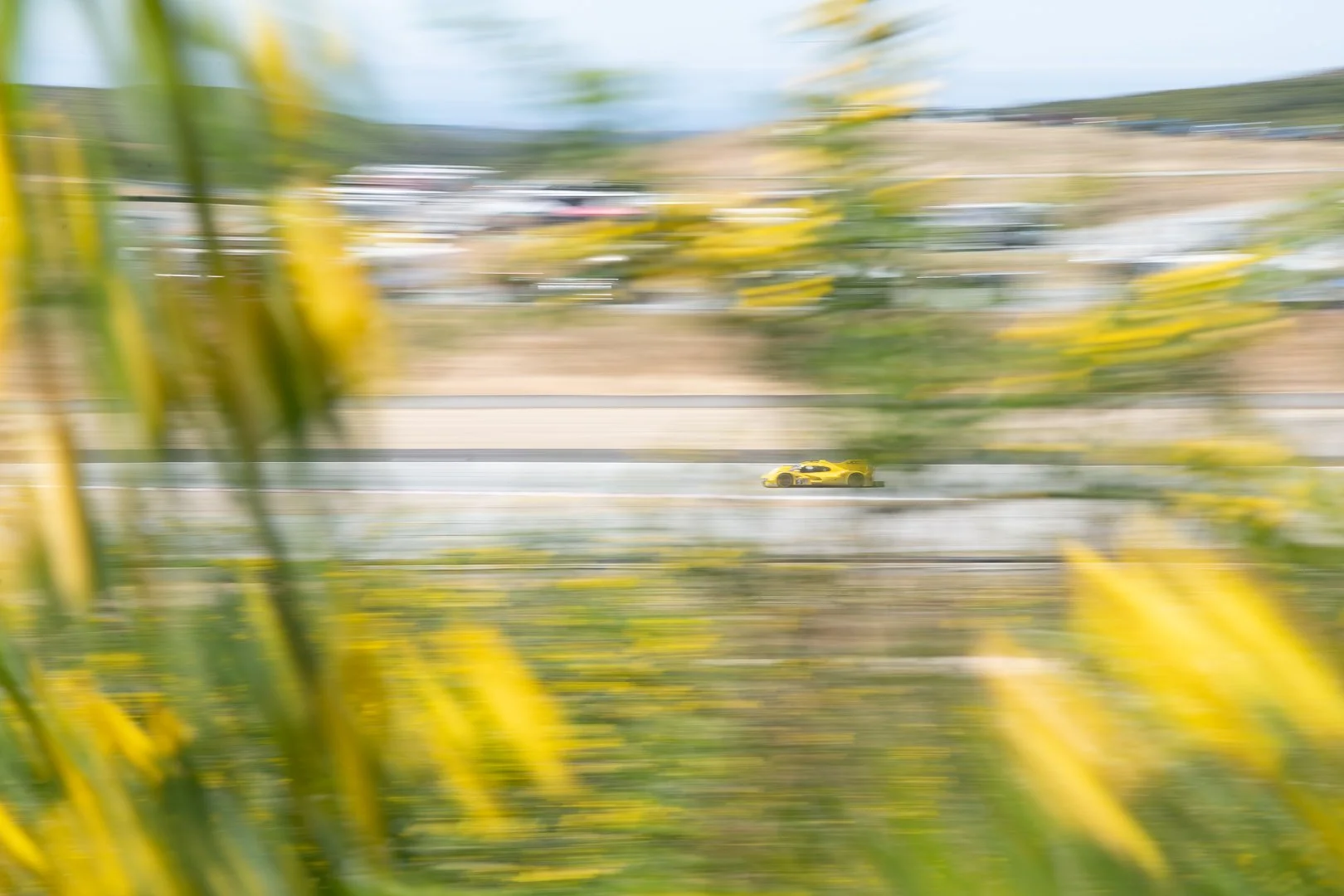 IMSA_LS-23 - 7432.jpg