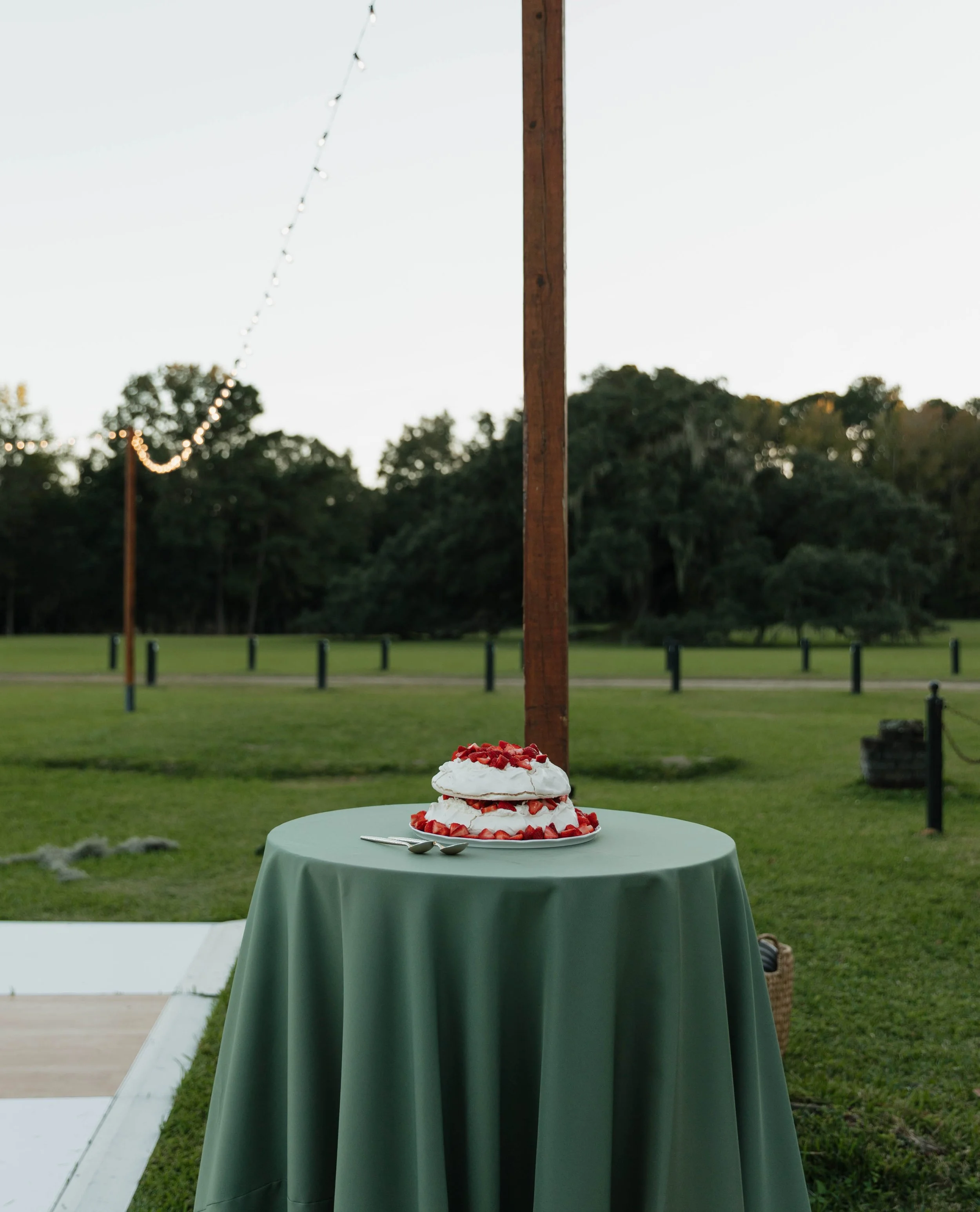 HLPHallmanWedding-62.jpg