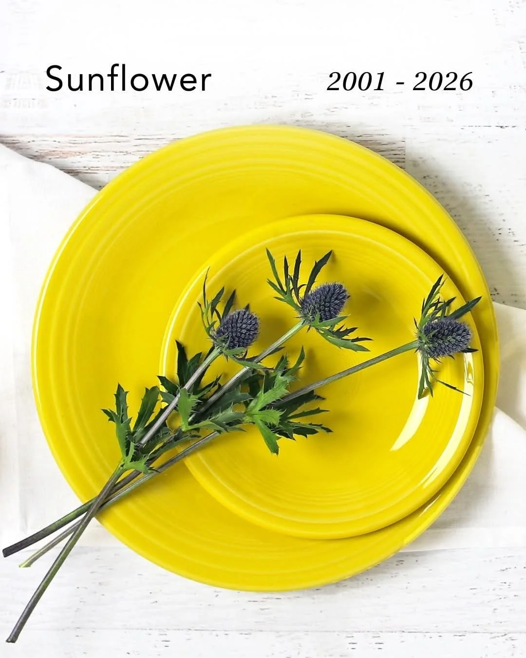 This week Fiesta announced they will retire sunflower and twilight. They also put out a long list of retired pieces. What will you missed most?

**We still have a good selection of these items in store, get them while you can!