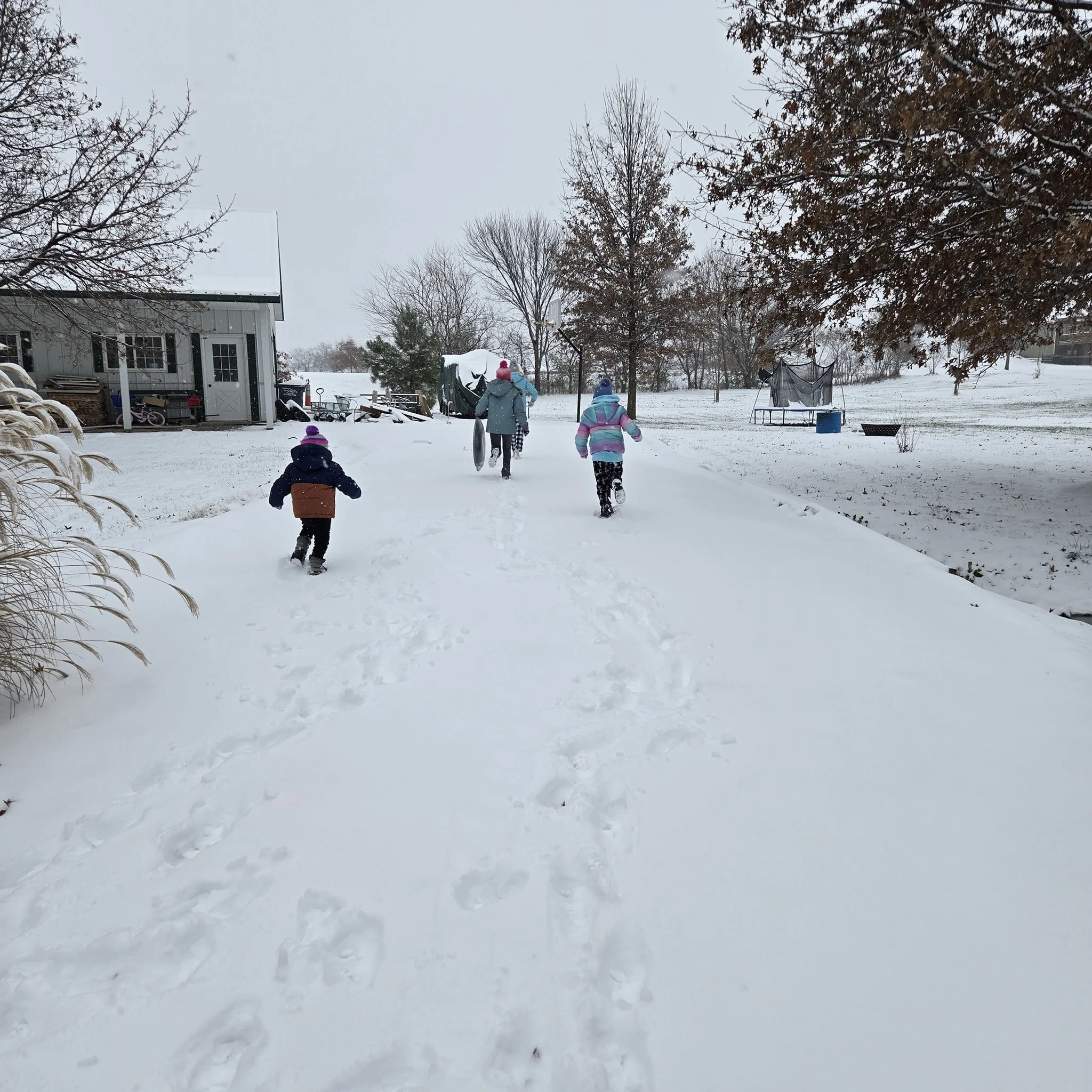 Cockrell will be closed for a snow day, January 25th. Stay warm!