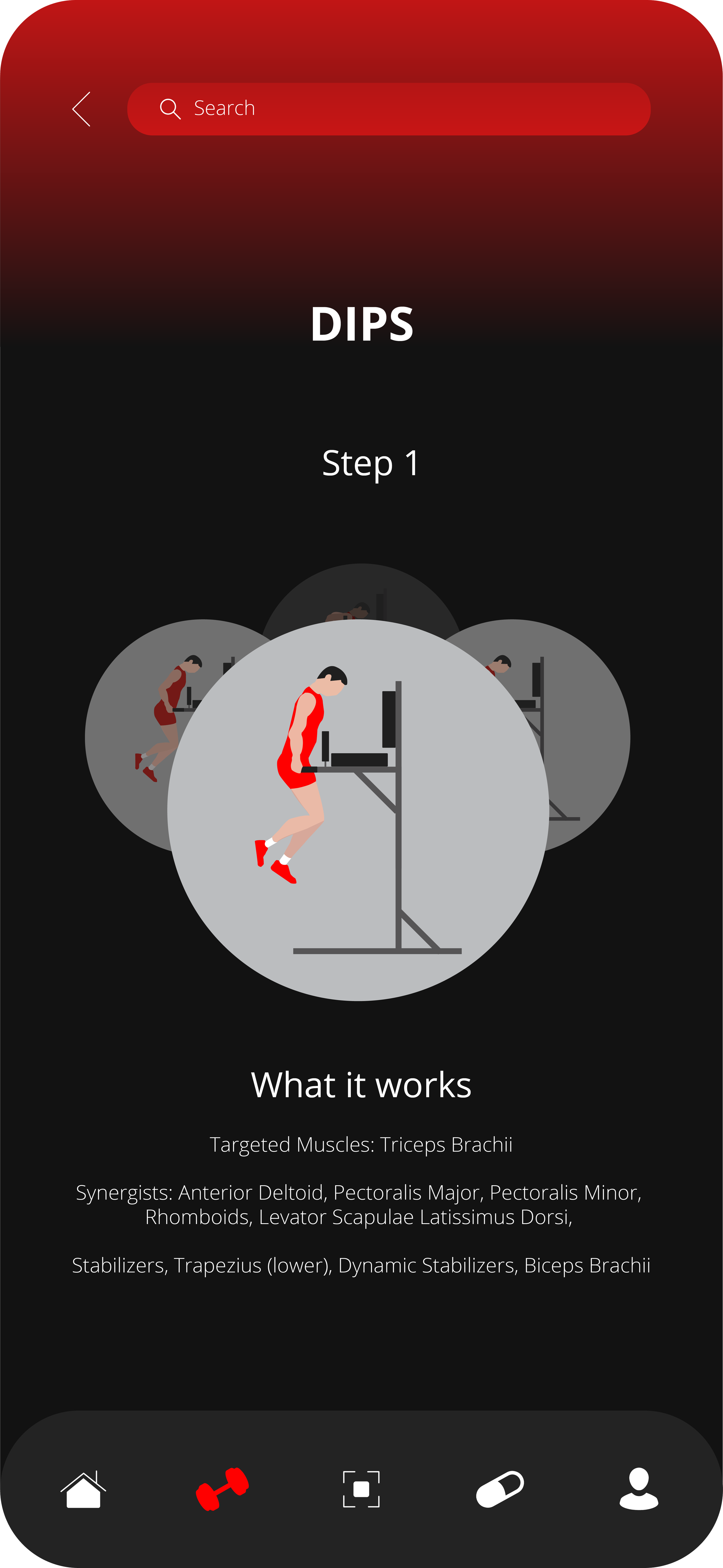 Dip Exercise.png