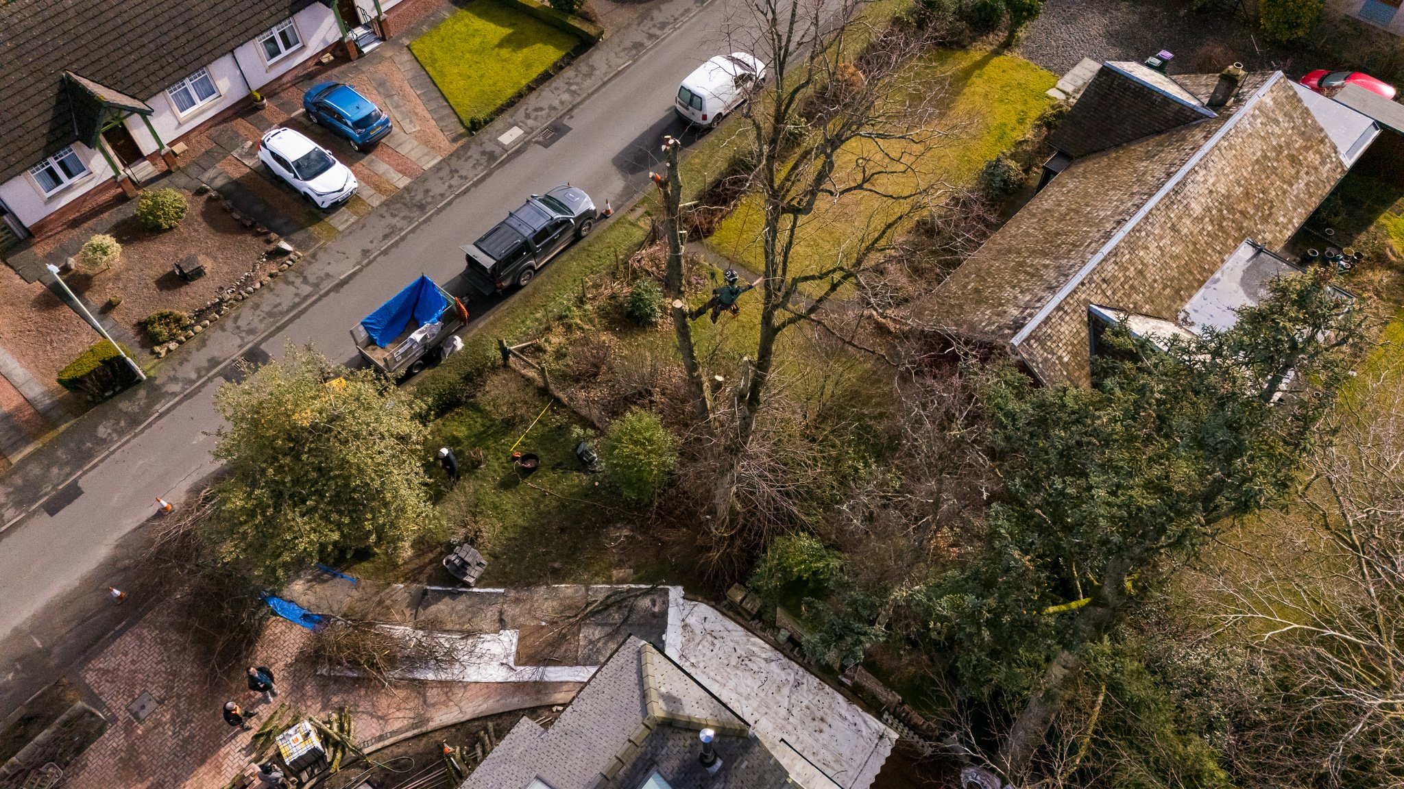 Our fleet of drones can provide a unique perspective! Also useful for aerial surveys, and high resolution mapping for our woodland management clients.