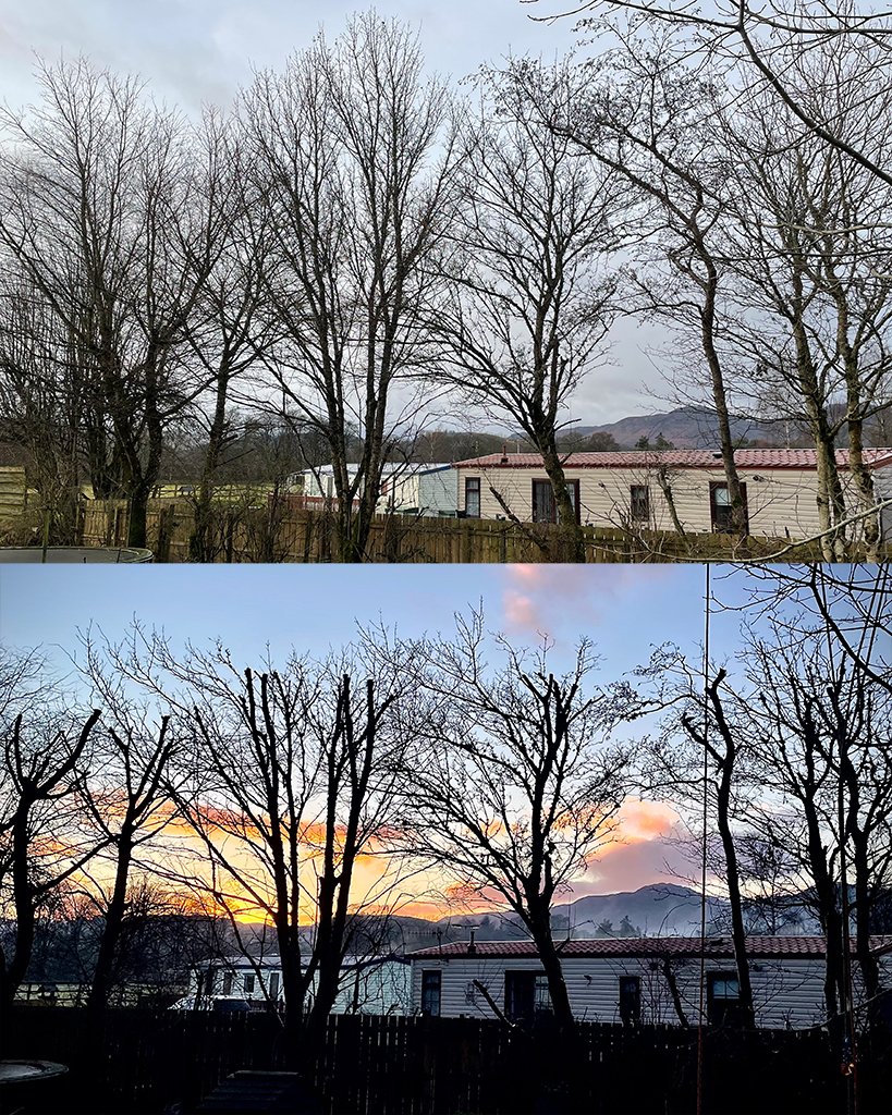 This row of maple, alder, oak and cherry in Comrie, Strthearn, was reduced in height as phase one of a retrenchment process to try and encourage a lower canopy. Over the next few years, we will continue to reduct in small increments, and the trees wi