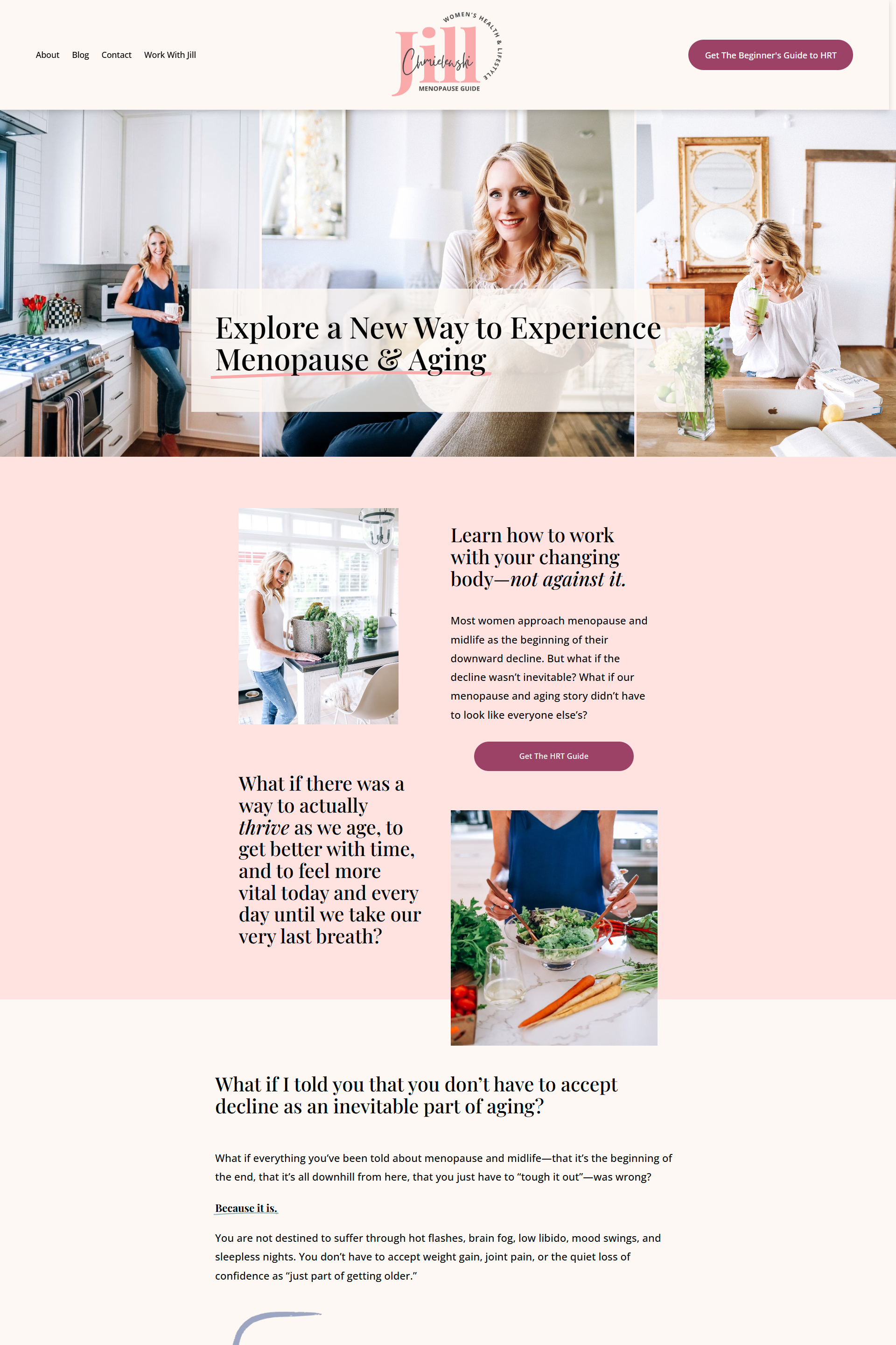 Jill Chmielewski website mock up