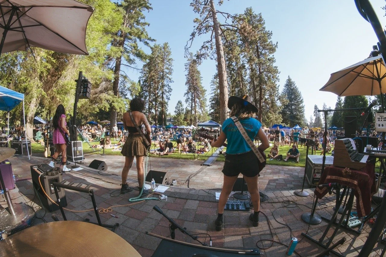 DSC03555Large Large.jpeg