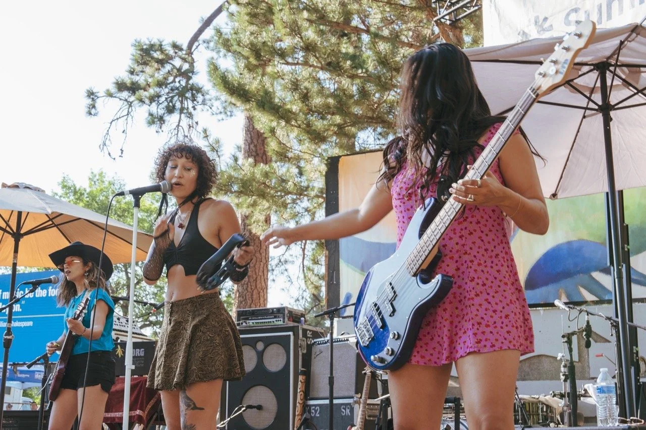 DSC01309Large Large.jpeg