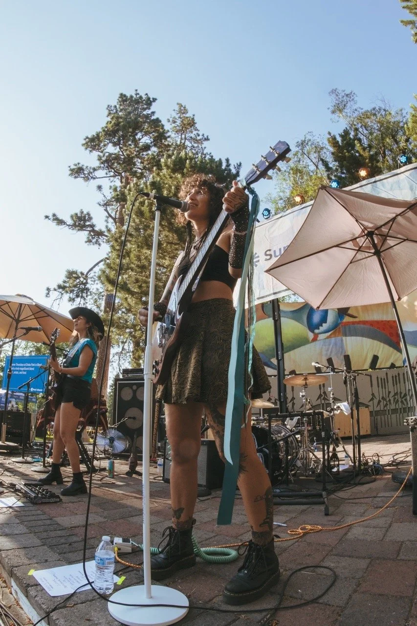 DSC03572Large Large.jpeg