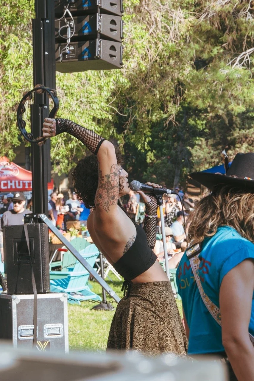 DSC01322Large Large.jpeg