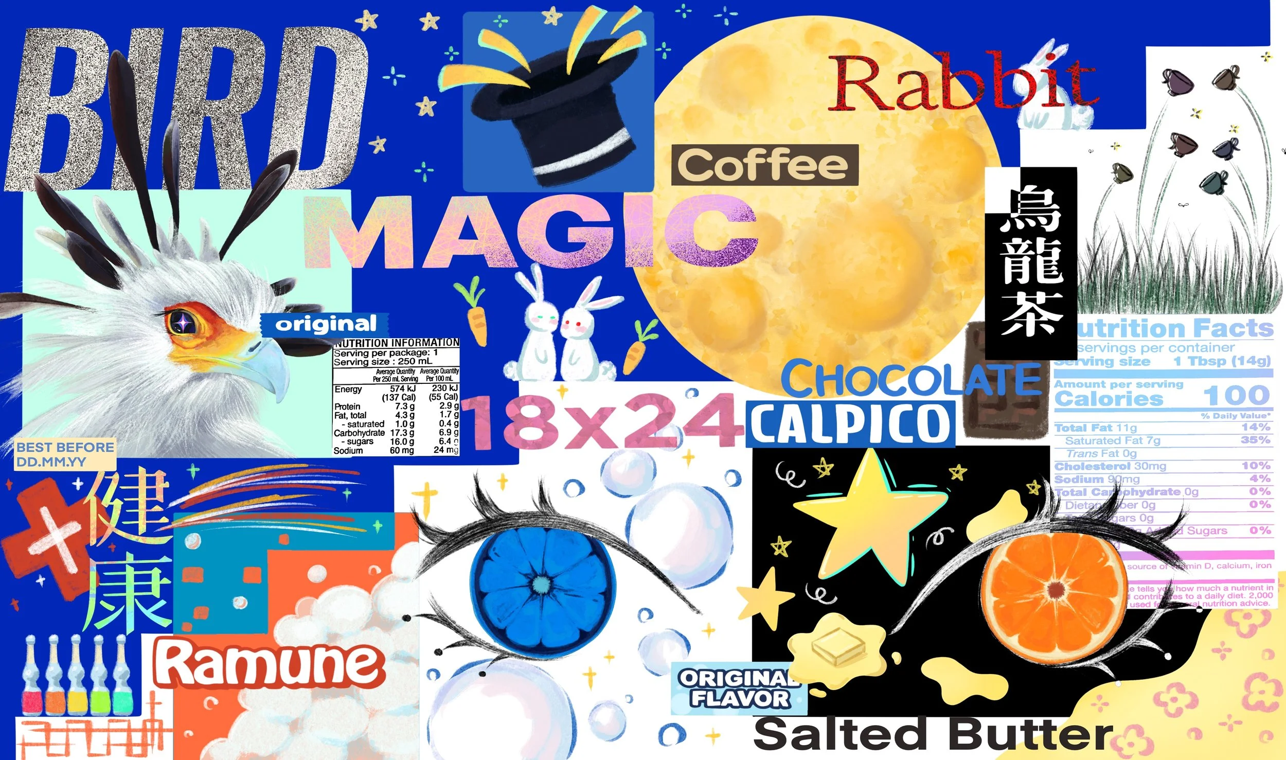 Work From Packaging Collage
(Tradition and Digital Illustration) 
