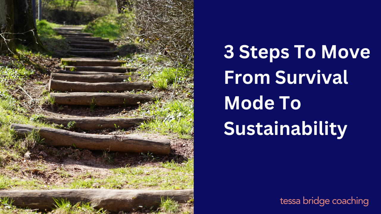 3 Steps To Move From Survival Mode To Sustainability