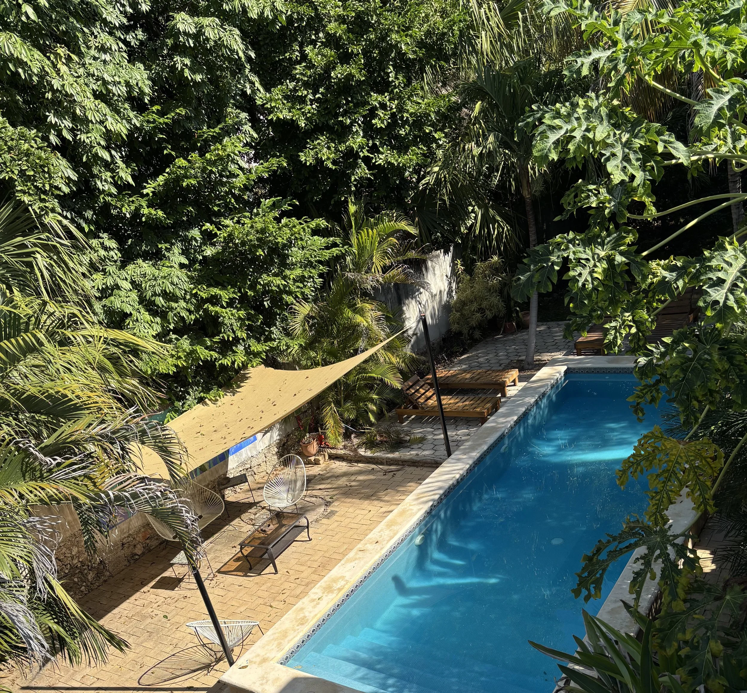 Walk into a home restored with patience, light, and love/ Entra a una casa restaurada con paciencia, luz y amor.