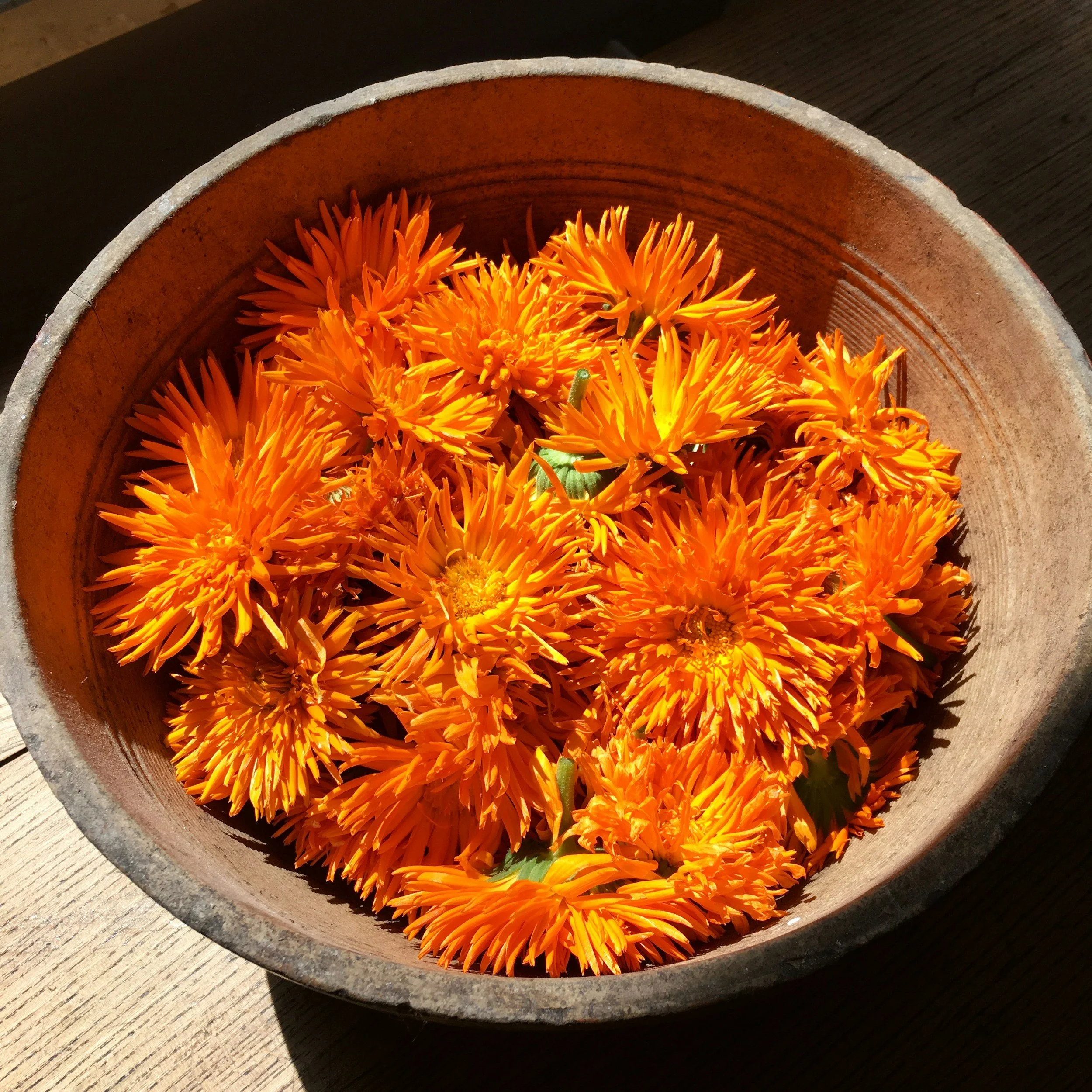 A round wooden bowl filled with vibrant orange flowers with long, thin petals, placed on a wooden surface with sunlight casting shadows.