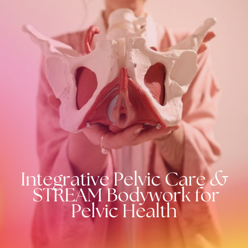 Integrative Pelvic Care : A Grounded, Hands-on Hands-in, Holistic Approach to Whole Body Health and Pelvic Healing