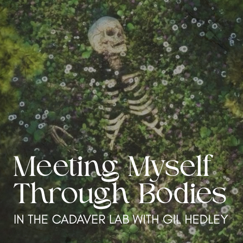 Meeting Myself Through Bodies in The Cadaver Lab with Gil Hedley