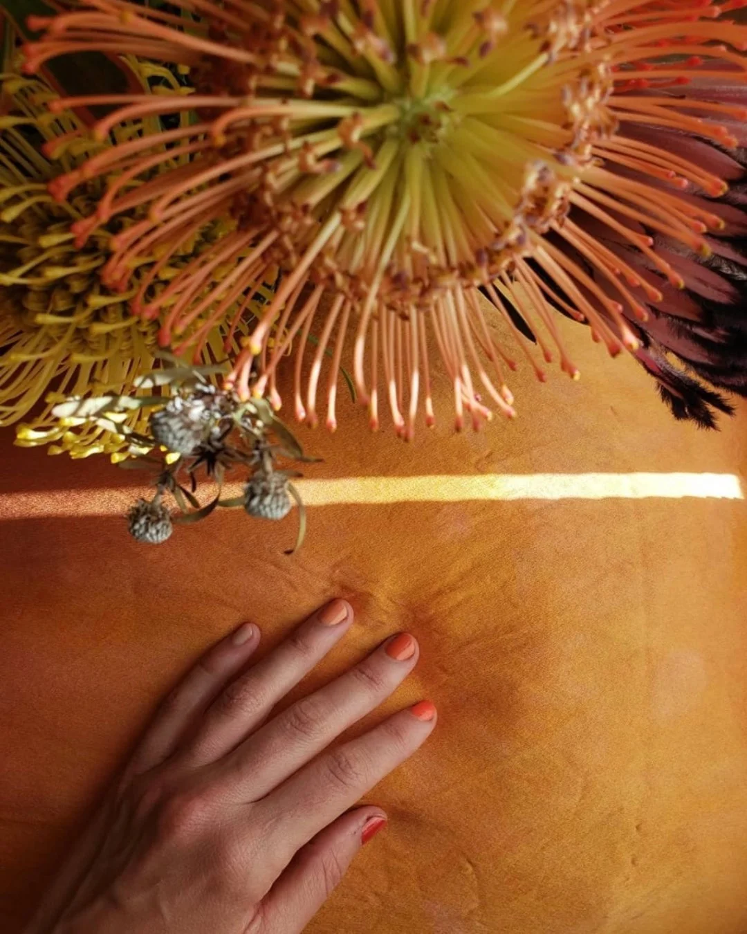 Somatic Therapy, Sexology, Sex and Intimacy Coaching in Dublin Ireland