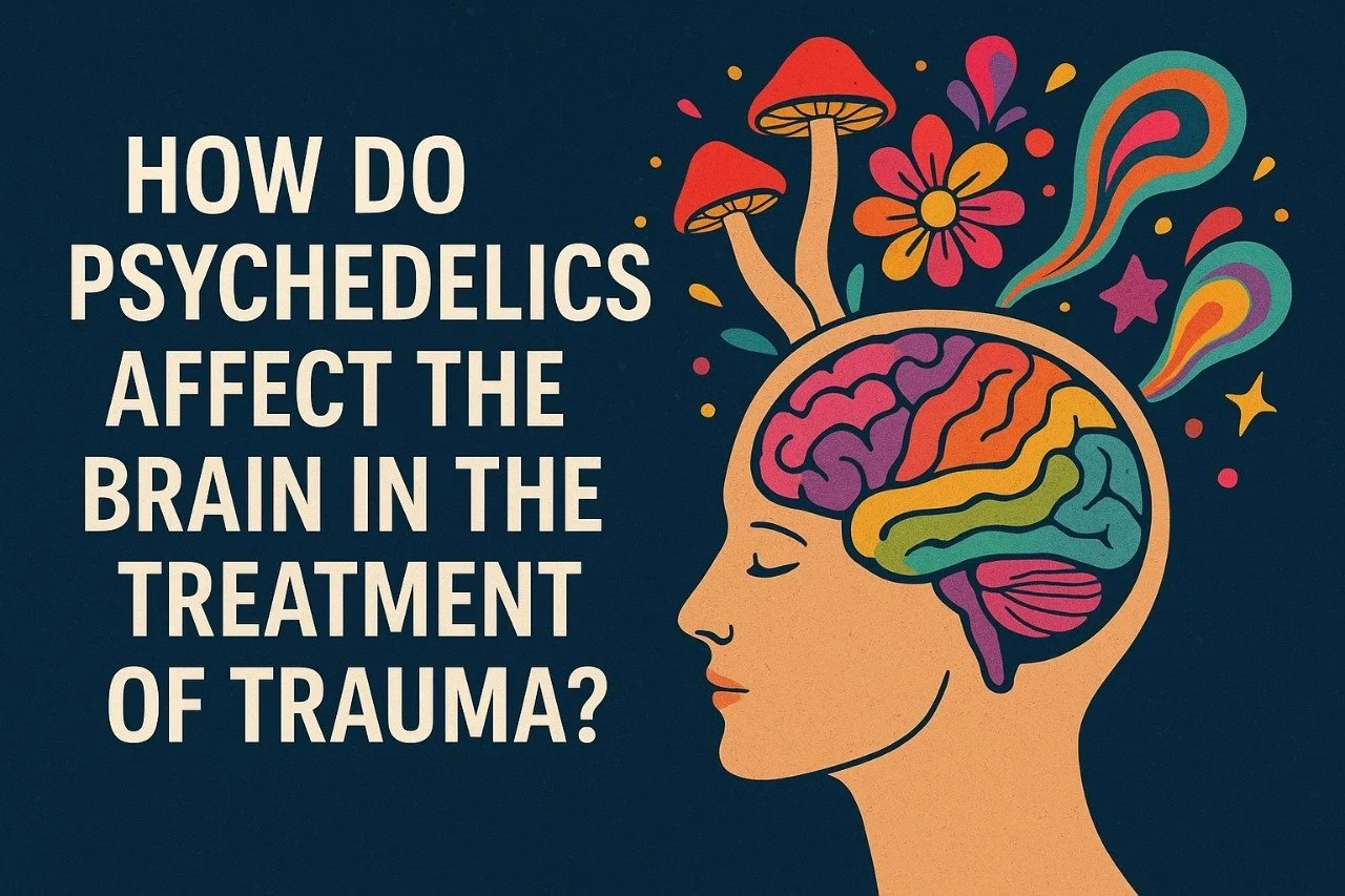 How Do Psychedelics Affect the Brain in the Treatment of Trauma?