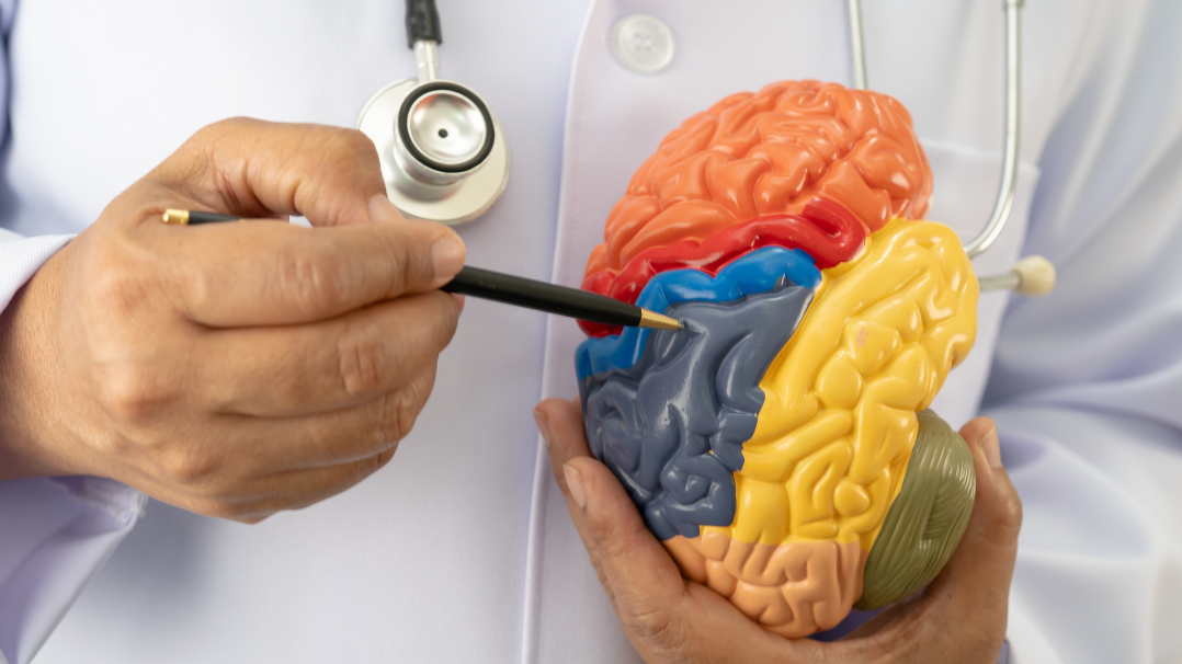 Levodopa-Induced Dyskinesia: What Emerging Research Shows