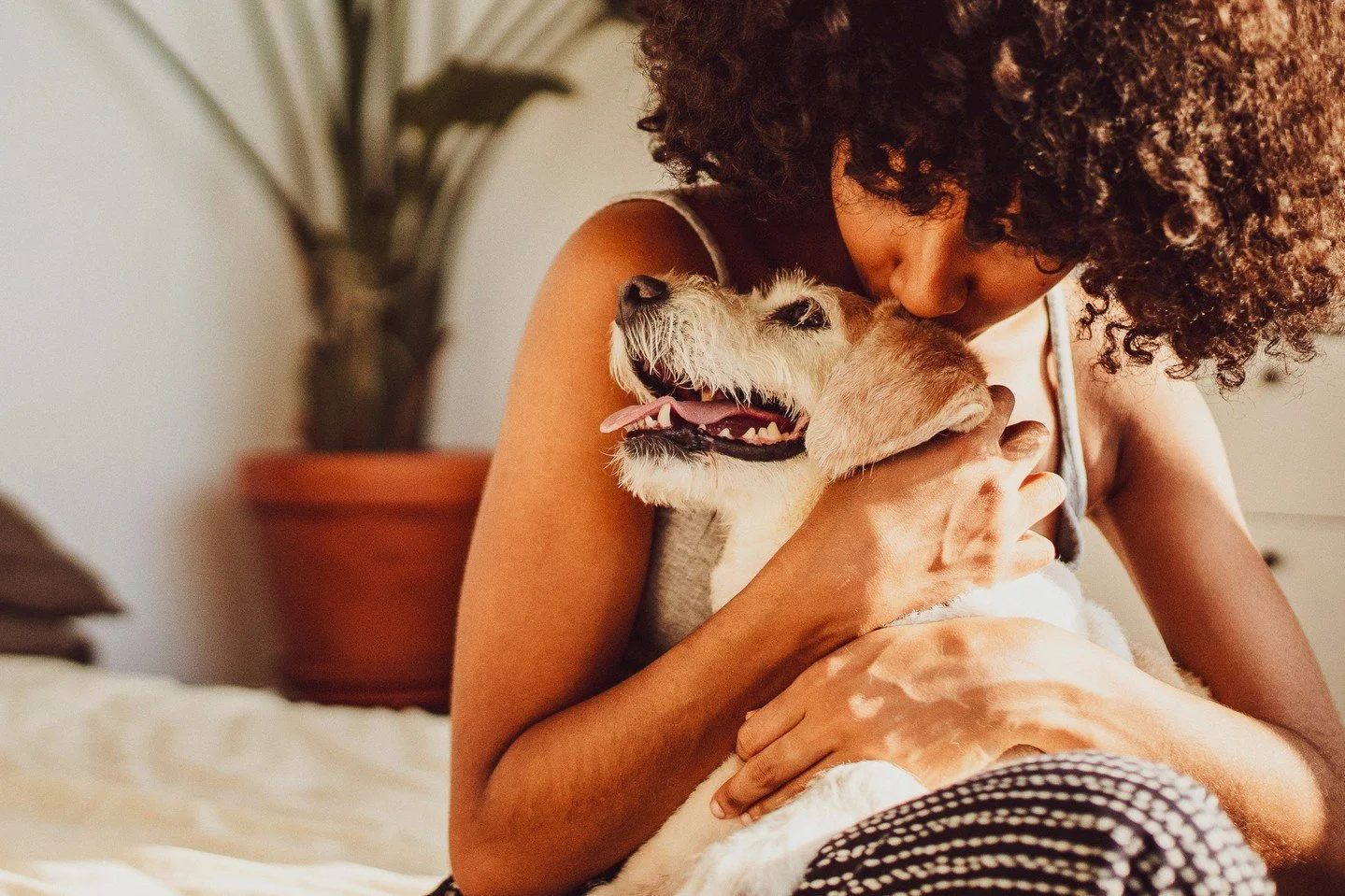 Life is better with pets&mdash;and at Allen, they&rsquo;re always part of the experience. 🐾
.
.
.
live allen apartments allen new rochelle new york apartments westchester county westchester ny nyc suburbs new york apts now leasing pet friendly