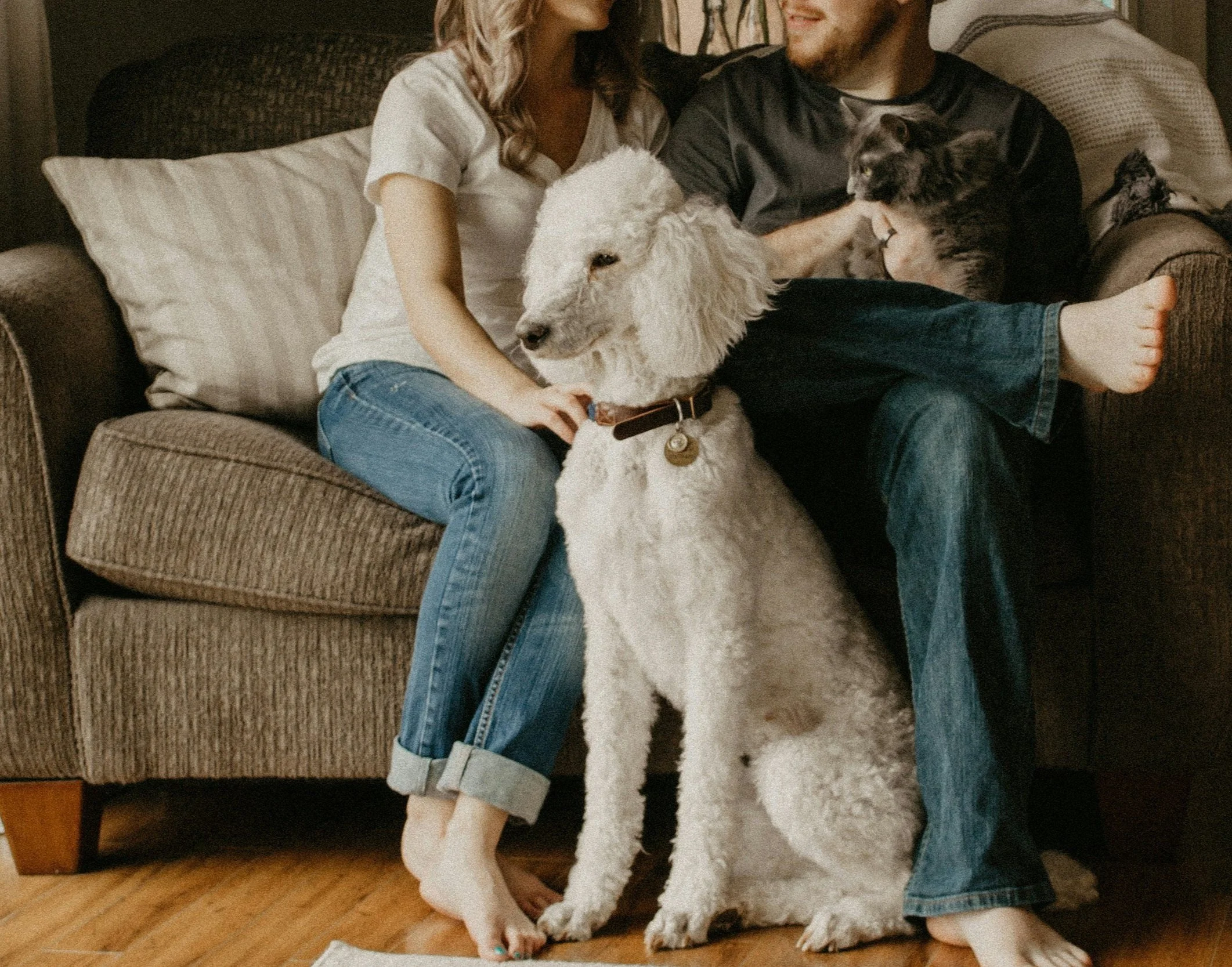 A couple showing love with pets - Pet CREMATION services