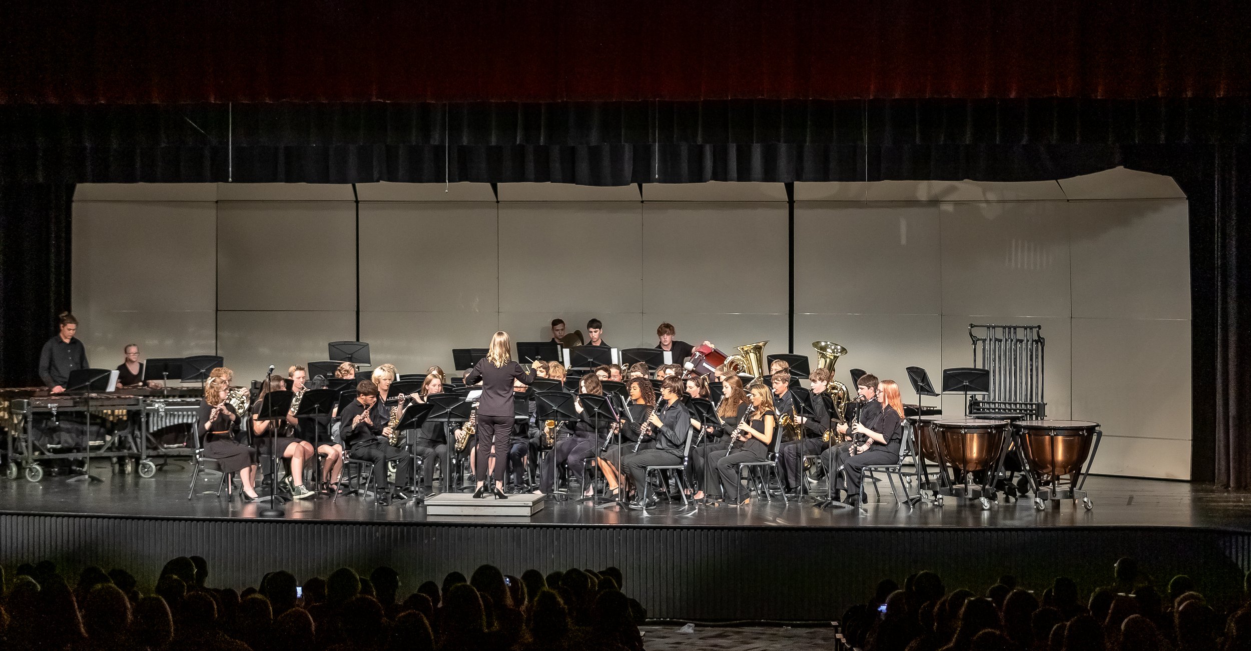 Buy Roses and Candy Bars at the Winter Concerts!