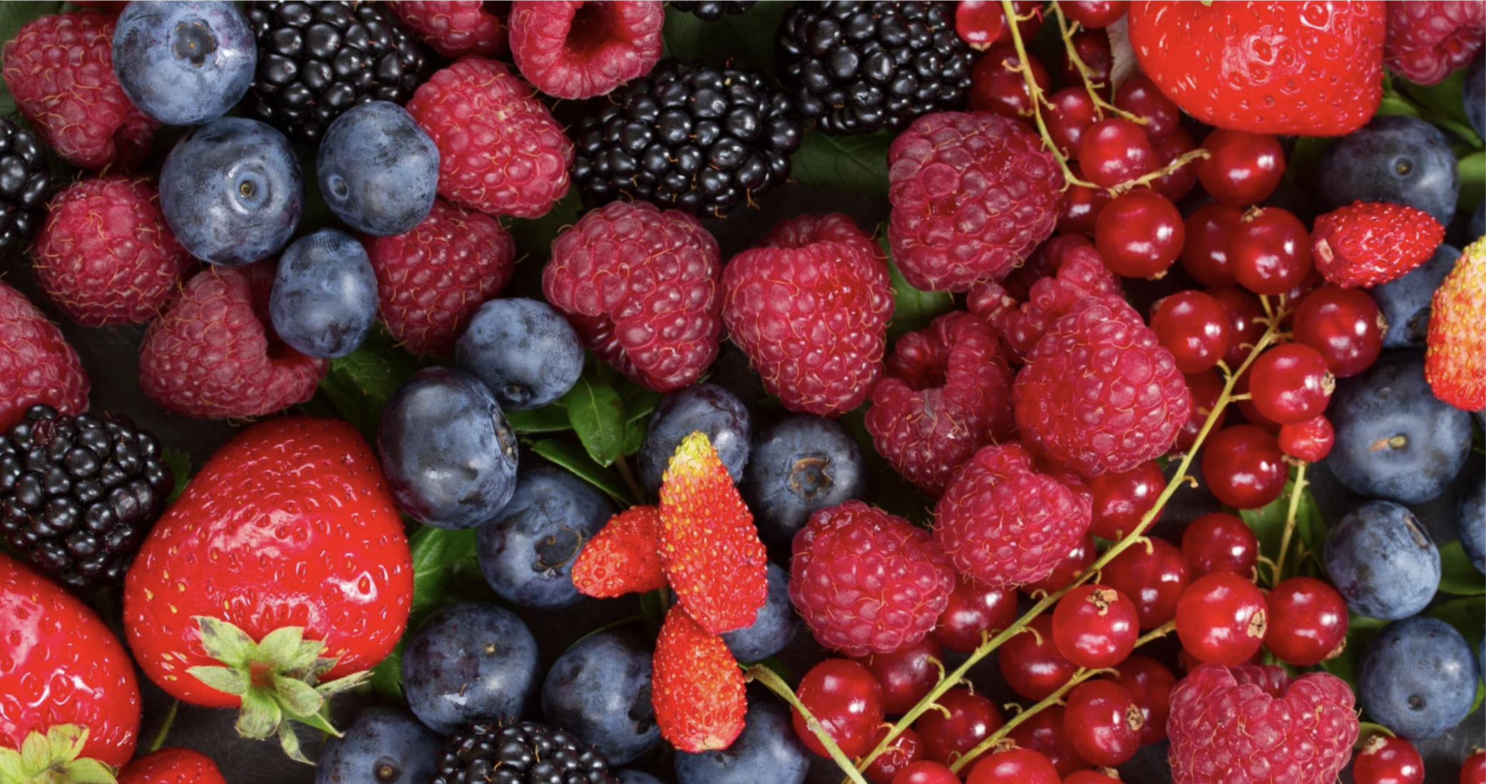 HOTM Berries 2024