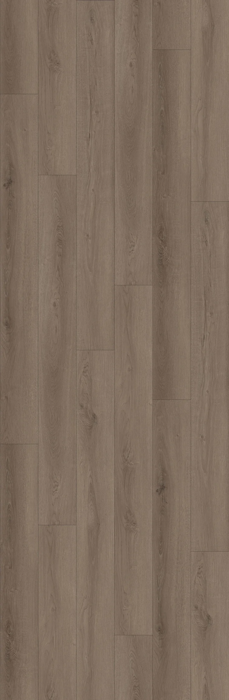 Cande European Collection laminate flooring sample