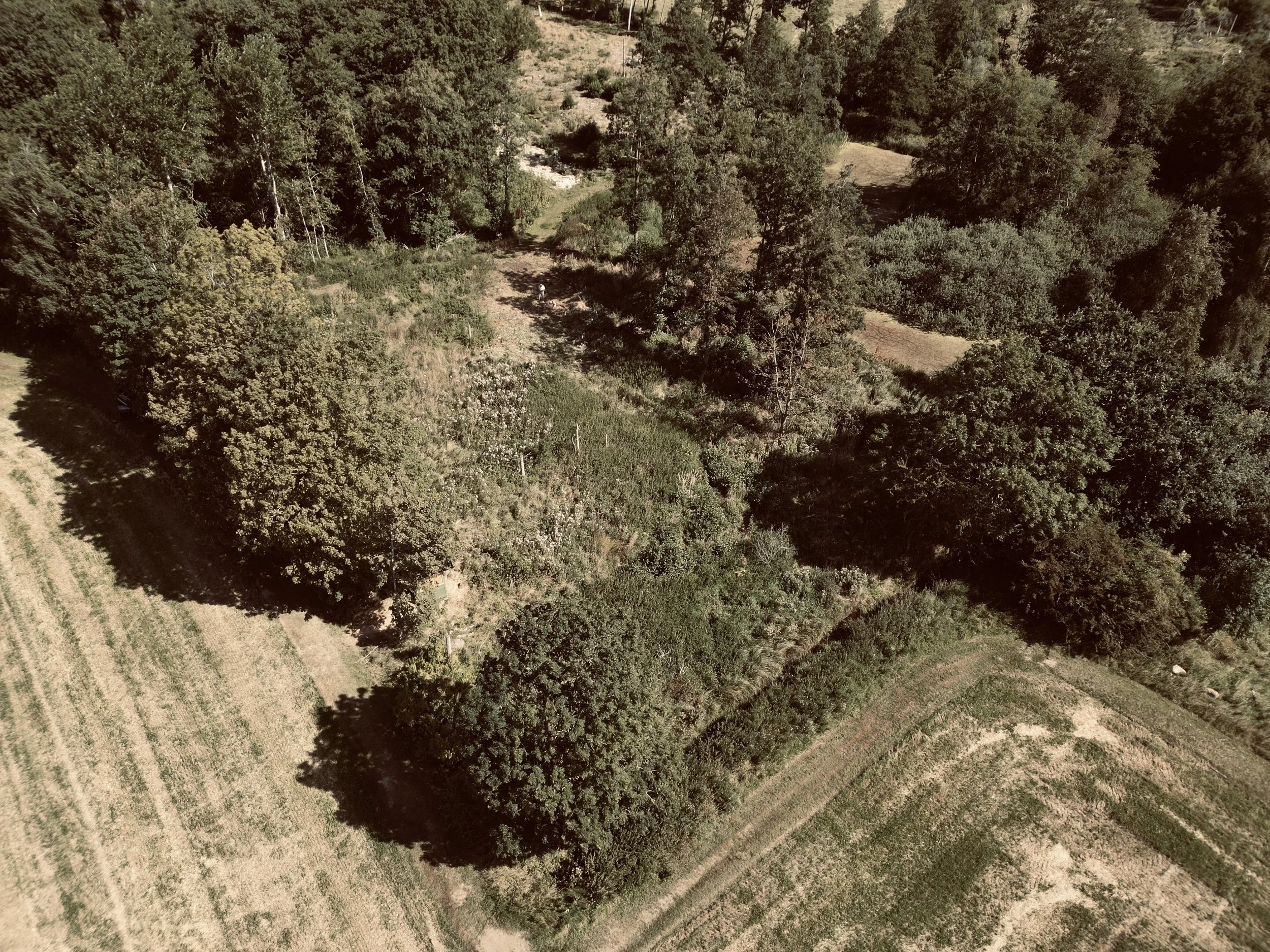 dji_fly_20250819_094448_618_1755770604949_photo.jpg