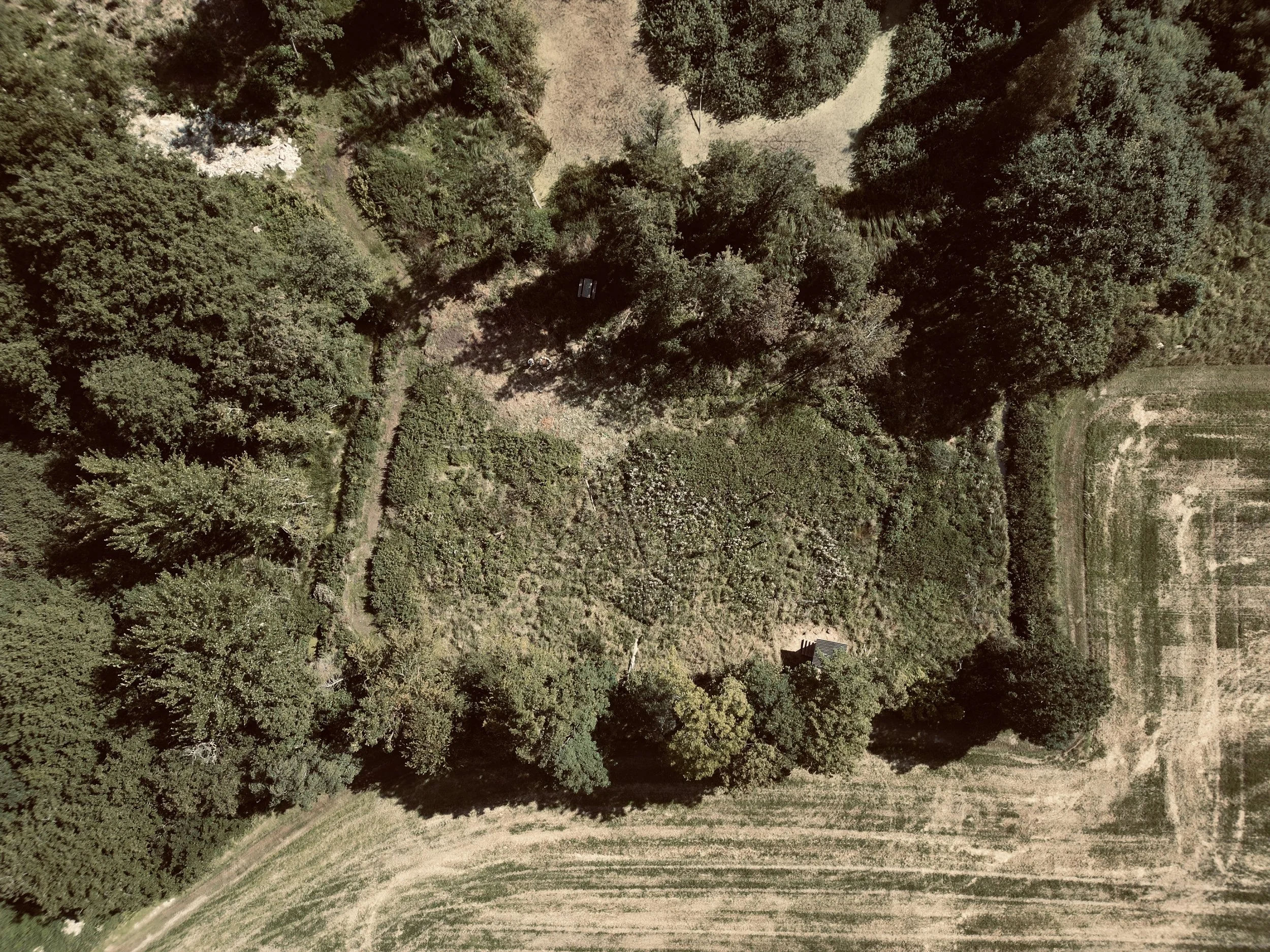 dji_fly_20250819_094516_619_1755770604535_photo.jpg