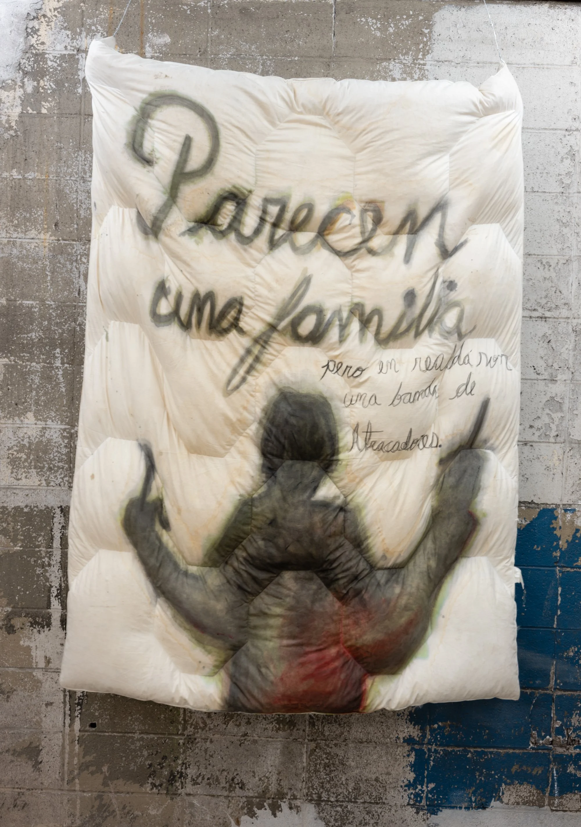 9: Parecen una familia pero en realidá son una banda de atracadores / Technique: Stolen feathers / Year: 2026