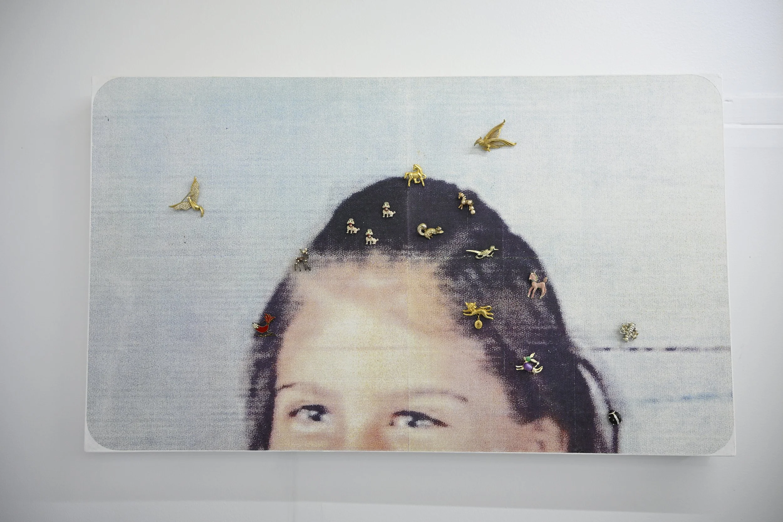 Peaceable Kingdom Infestation / 2024 / Acrylic transfer, vintage pins, thread on canvas / 19 1/2” x 32 3/4” / $1600