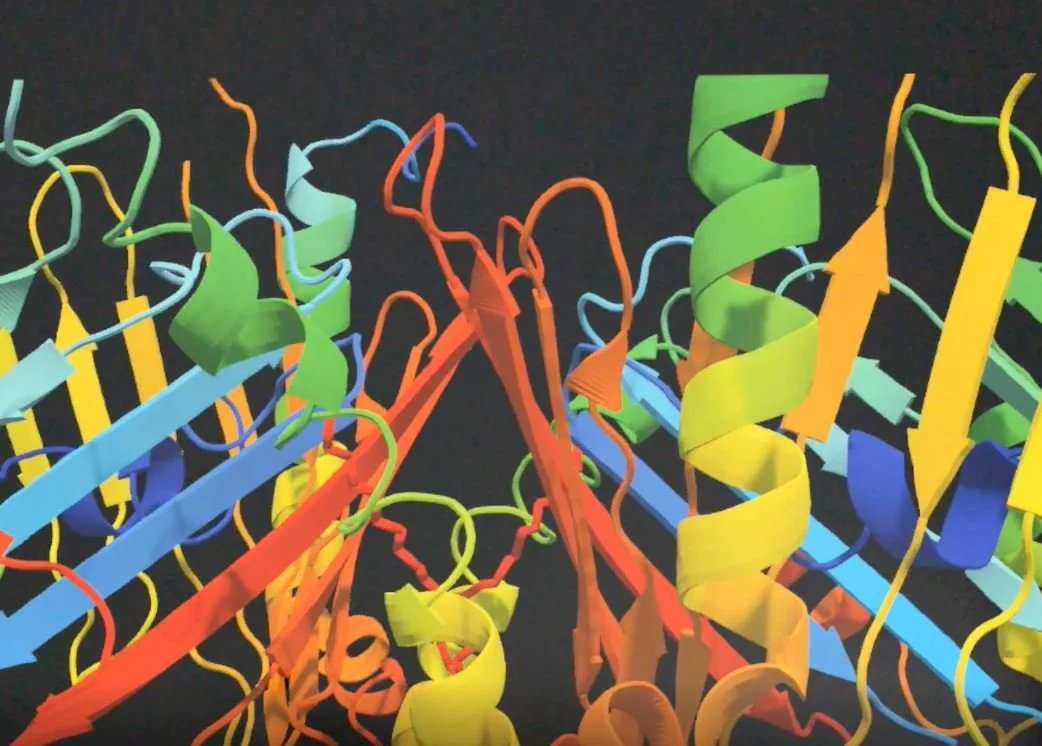 Tangible Biochemistry