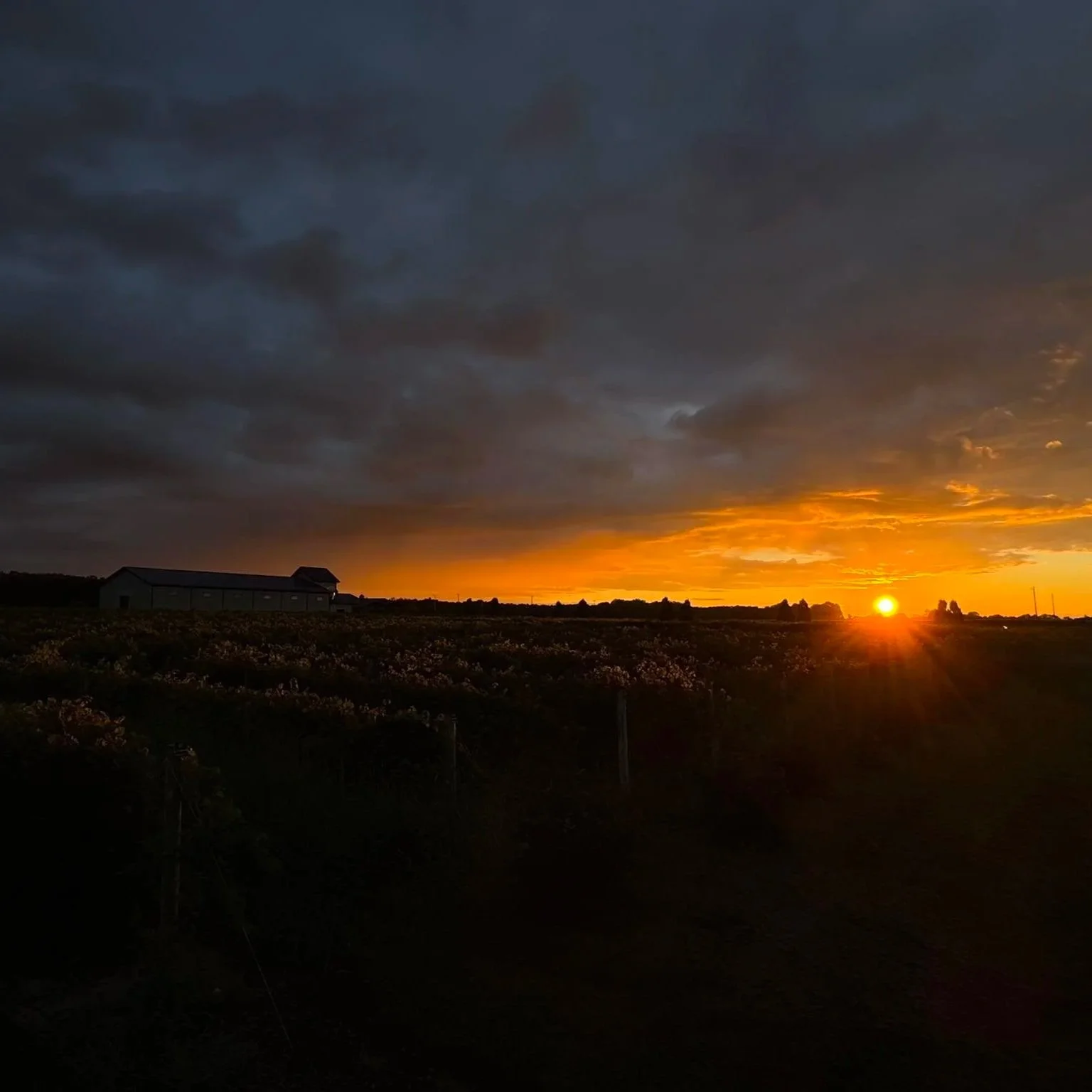 Winery and Distillery Near Fort Wayne