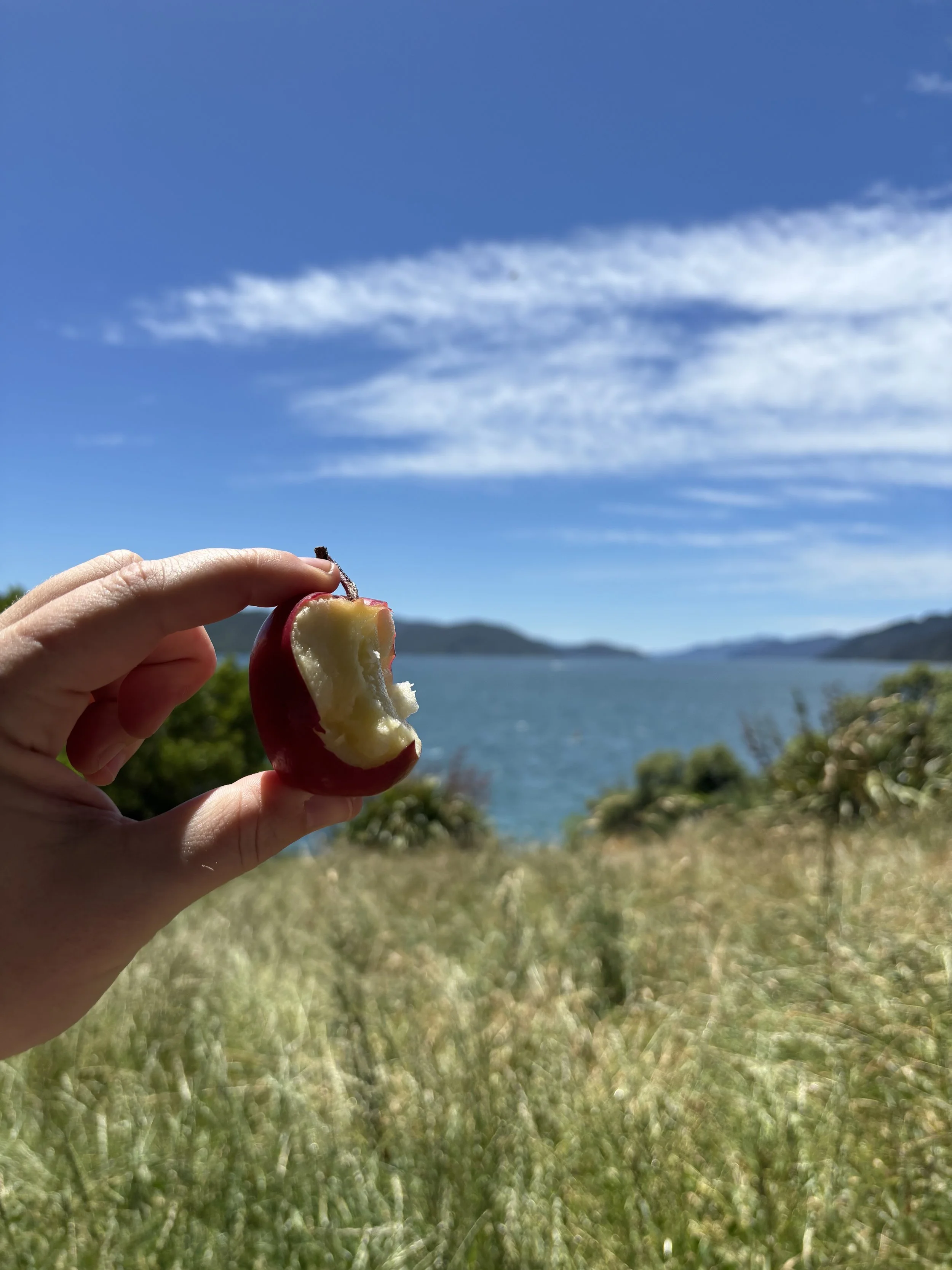 Whose Responsibility Is This?