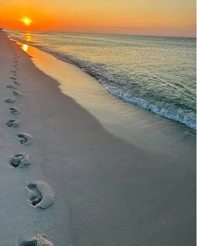 🌿 The Quiet Courage of Beginning Again

Every tide begins again.

One of the things I love most about living on an island is the rhythm of the tide.

No matter what yesterday looked like, the sea never seems concerned with it.

It simply returns.

A