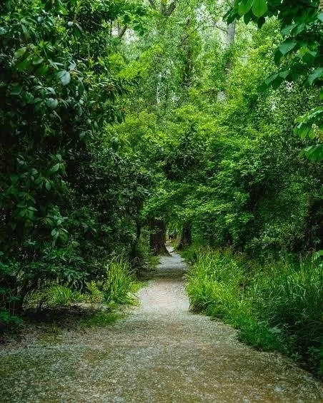 🌿 RETURNING

Returning to the body.

Returning to breath.

Returning to nature.

Returning to ourselves.

Returning to what matters.

🌿 Come Back to Yourself

A gentle reflection on how easily we become absorbed in everyone else's needs.

A Thought