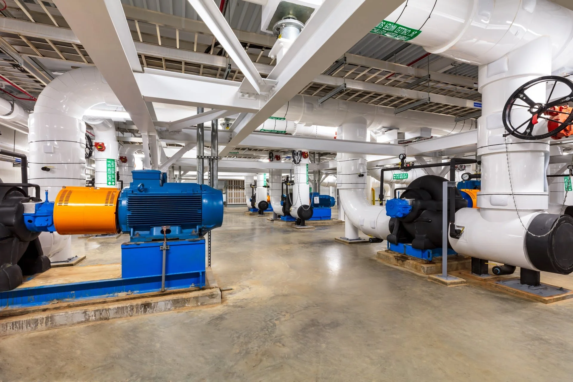 Blue Oval CUP-12.jpg