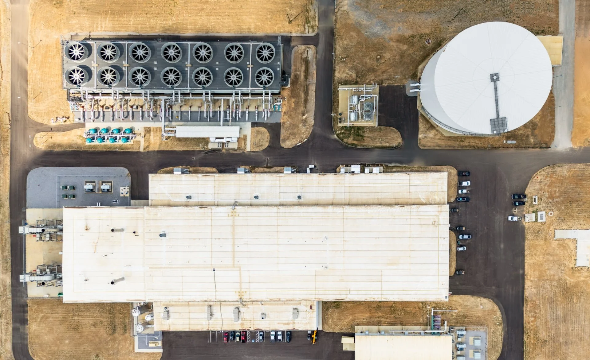 Blue Oval CUP-54.jpg