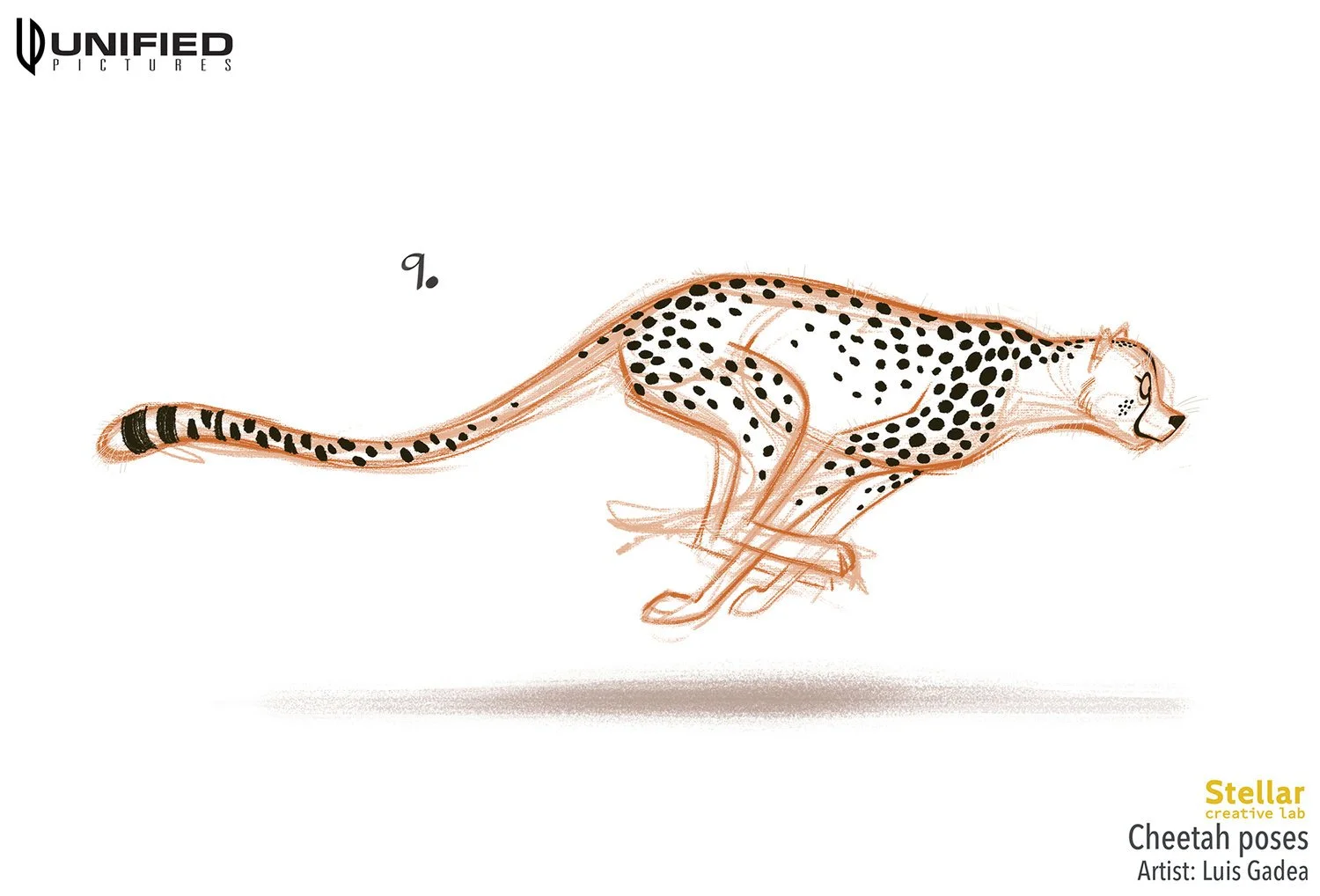 ARK_Cheetahs_poses_003low_LG.jpg
