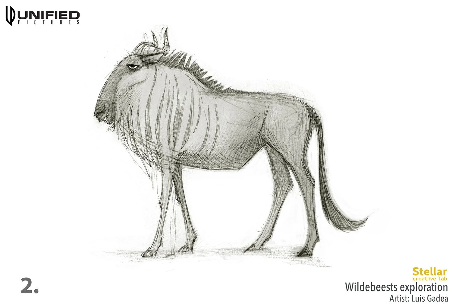 ARK_Wildebeests_002low_LG.jpg