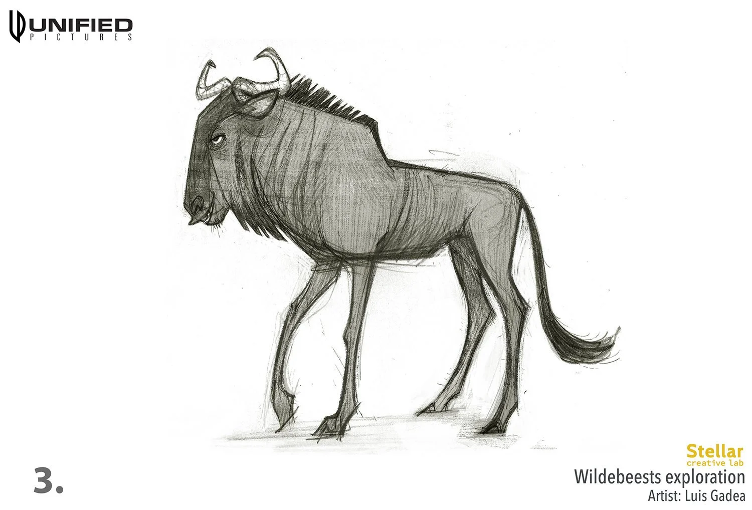 ARK_Wildebeests_003low_LG.jpg