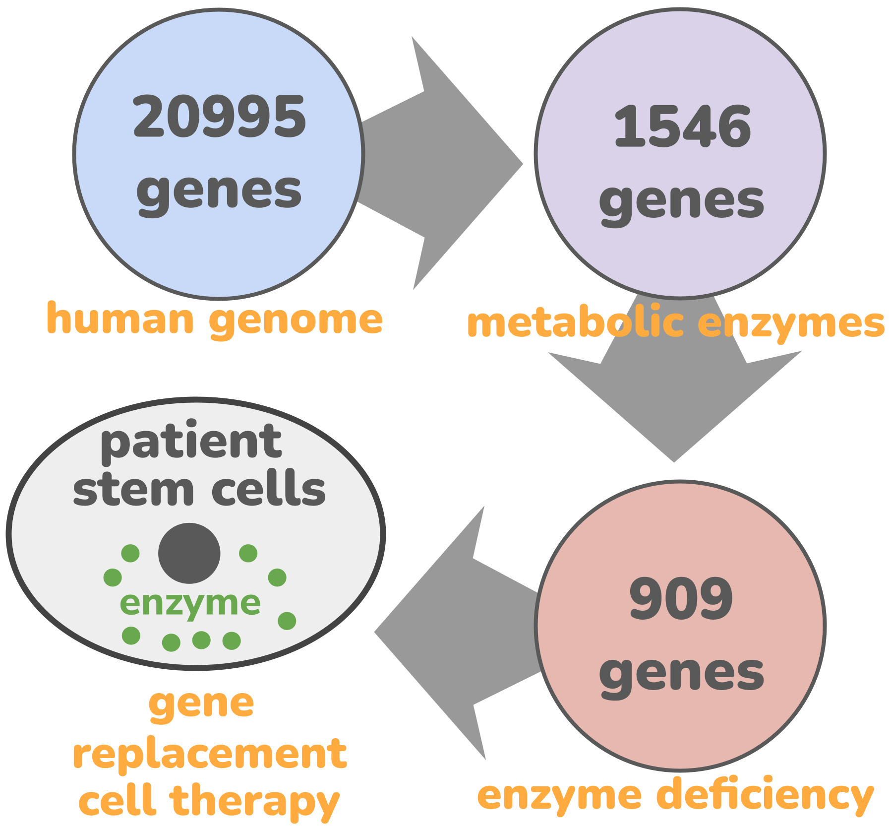 01 metabolic enzyme disorders — Glafabra