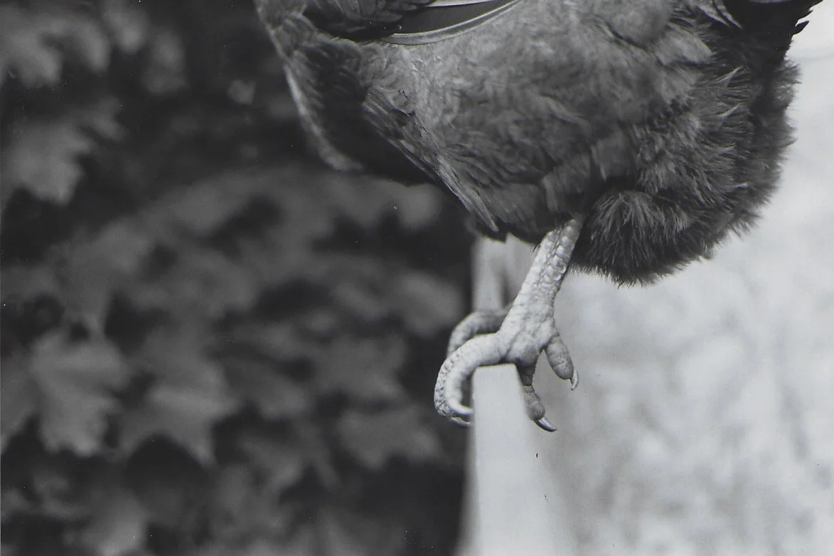 Jeremy's Photos 20.jpg