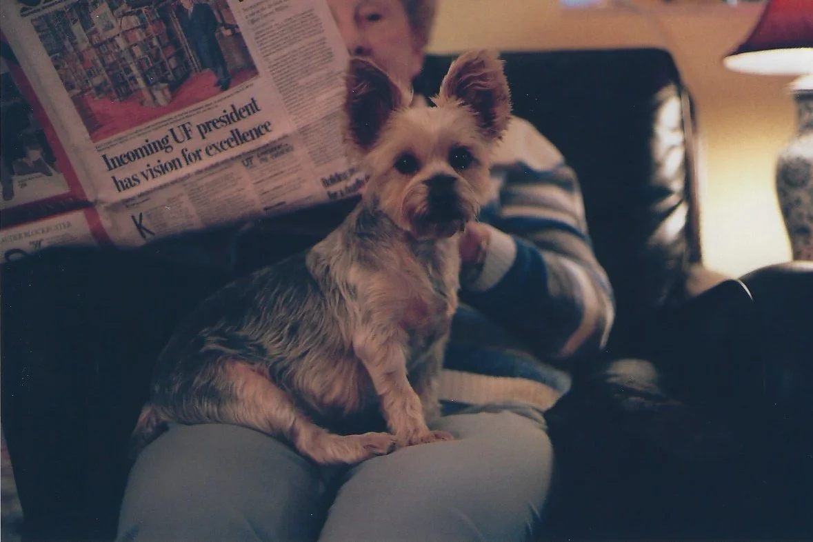 Jeremy's Photos 15.jpg