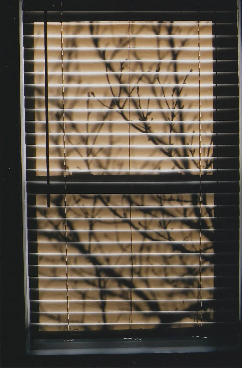 Jeremy's Photos 13.jpg