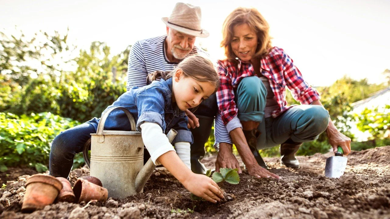 Ask Stacy – What Your Garden Can Teach You About Divorce
