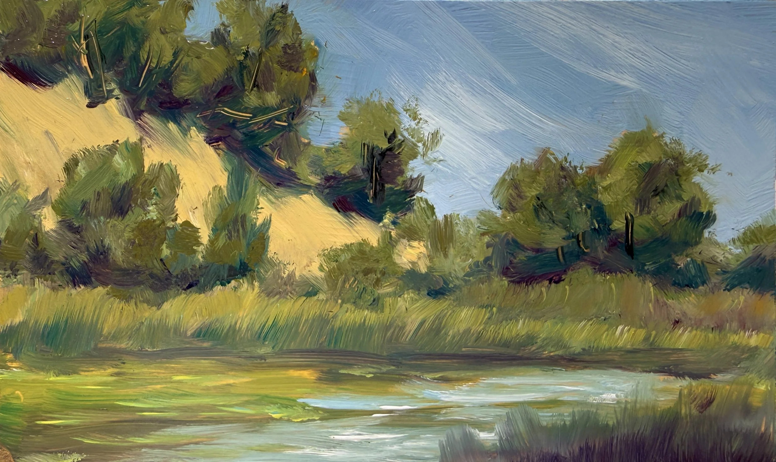 Horseshoe Lake -mini