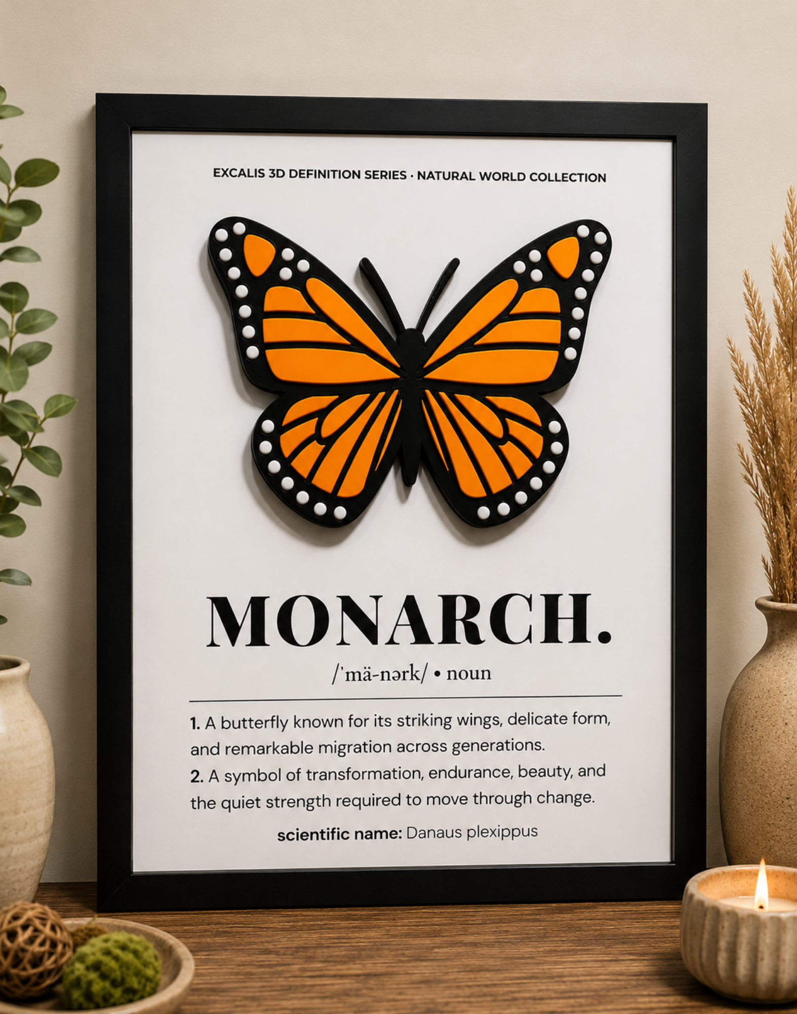 Excalis Monarch 3D Definition with an orange and black butterfly mounted above a definition in a black frame.