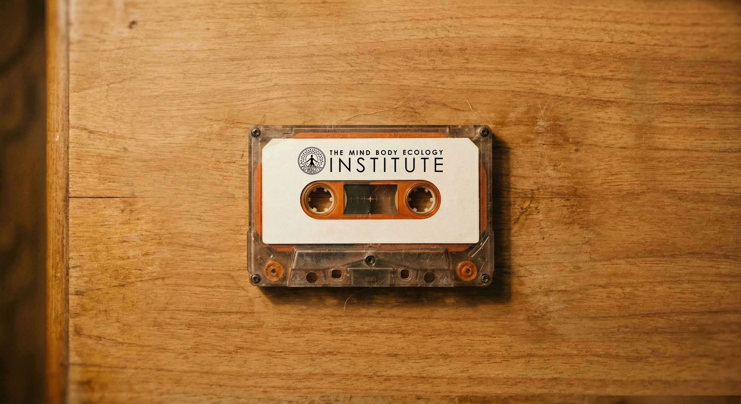 Mind Body Ecology Institute